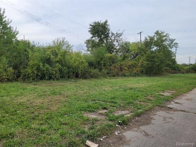 Prime vacant lot located in the highly sought-after Islandview - Beach Lot for sale in Detroit, Michigan on Beachhouse.com