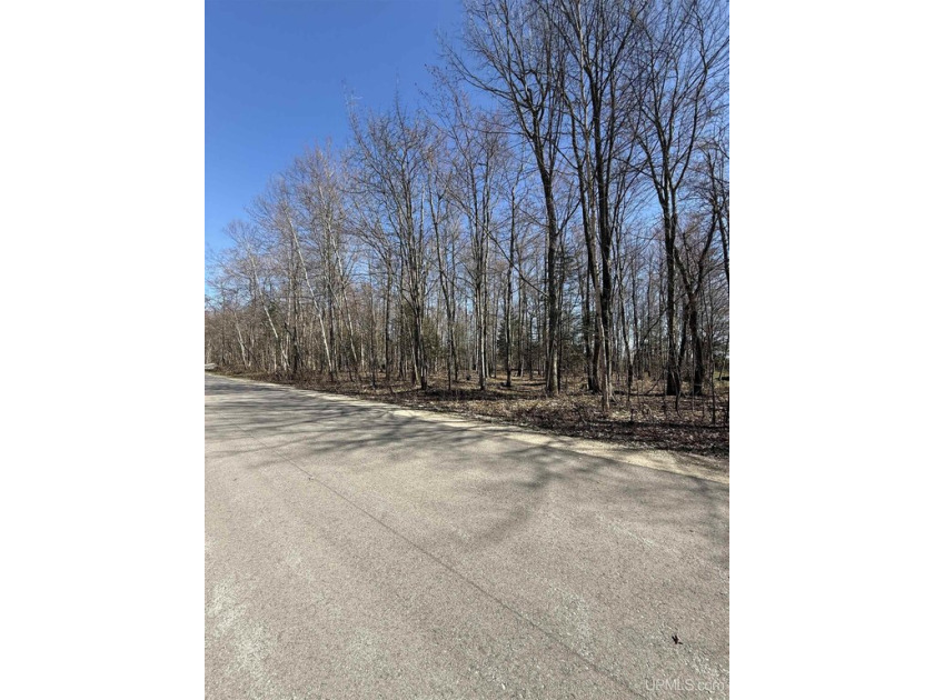 Lay in bed at night, listening to the roar of Lake Michigan - Beach Lot for sale in Manistique, Michigan on Beachhouse.com