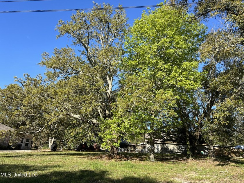 One of the FEW lots in Pass Christian NOT IN A FLOOD ZONE! this - Beach Lot for sale in Pass Christian, Mississippi on Beachhouse.com