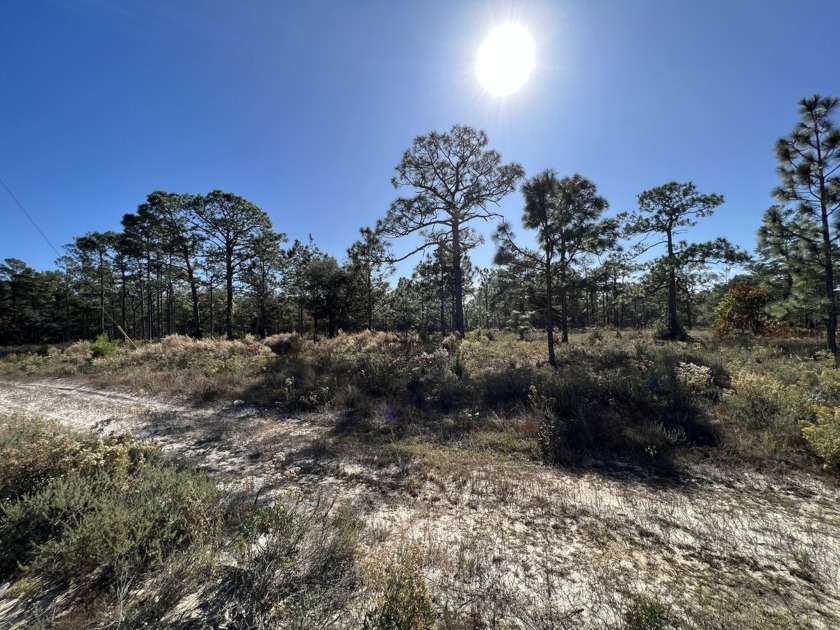 Calling all builders and developers. Over 5 acres of land now - Beach Acreage for sale in Inlet Beach, Florida on Beachhouse.com