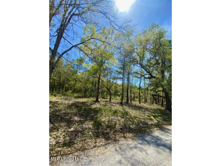 Come build your dream home on this beautiful partially cleared - Beach Lot for sale in Bay Saint Louis, Mississippi on Beachhouse.com