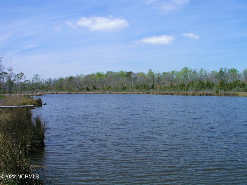 Beautiful, 1.87ac, wooded waterfront lot with high elevation - Beach Lot for sale in Bath, North Carolina on Beachhouse.com