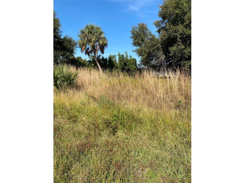 Build your dream home on this CLEARED and elevated vacant lot - Beach Lot for sale in North Port, Florida on Beachhouse.com