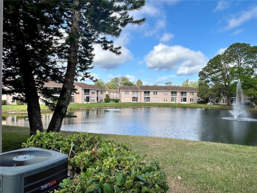 Ideal condo with a beaitiful view of the pond with a fountian - Beach Condo for sale in New Port Richey, Florida on Beachhouse.com
