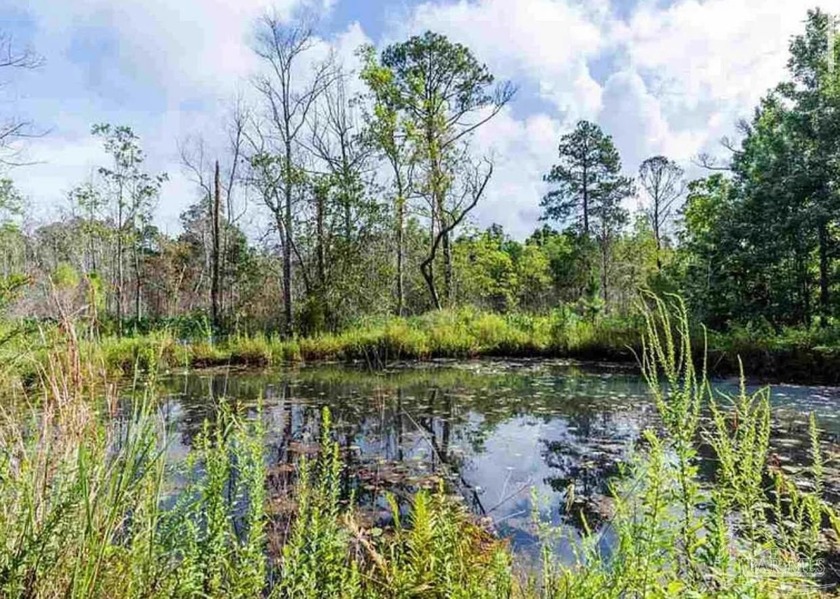 Updated 3-Bedroom Country Cottage on 4 Acres - Freshwater Creek - Beach Home for sale in Pensacola, Florida on Beachhouse.com