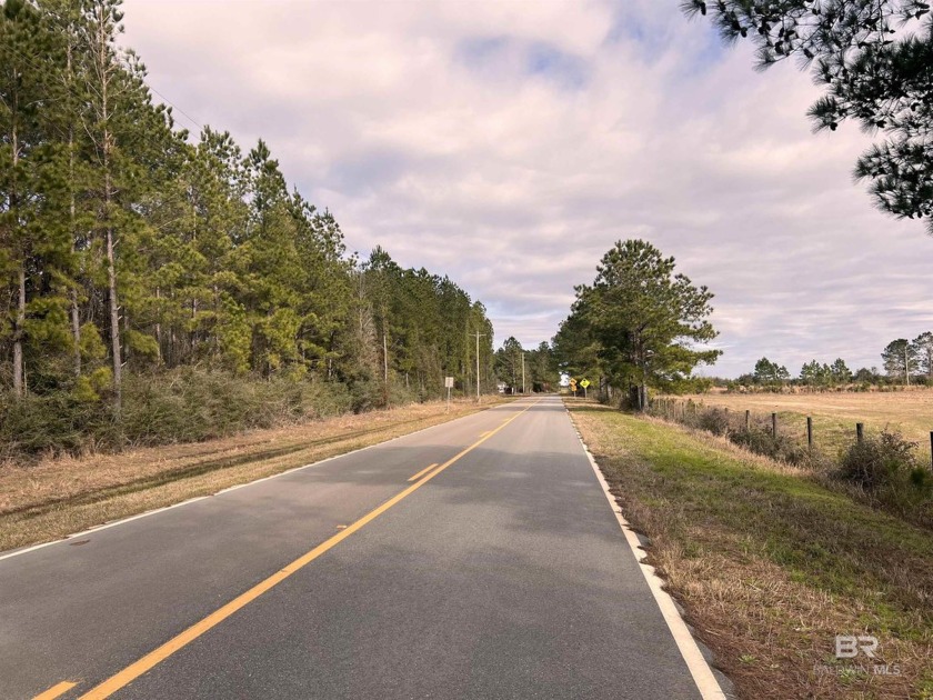 Country living on this 8 acre property, close to Foley, Elberta - Beach Lot for sale in Elberta, Alabama on Beachhouse.com