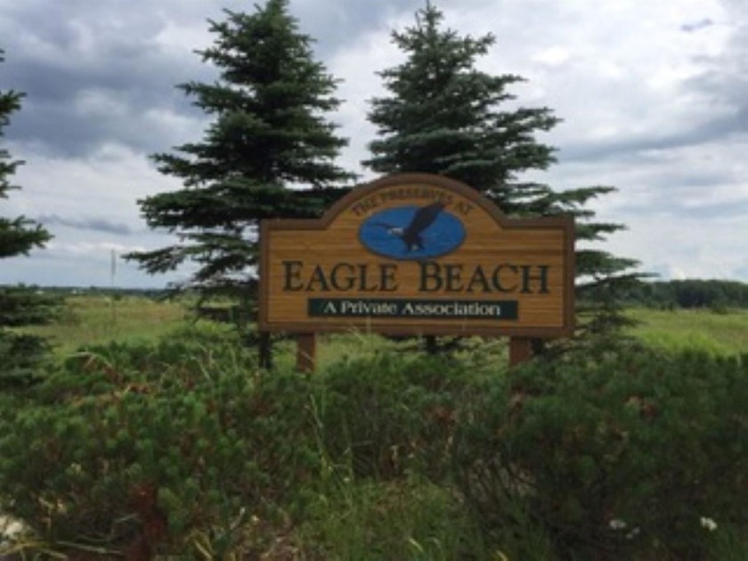 Eagle Beach Association is a true hidden gem that offers a - Beach Lot for sale in Alanson, Michigan on Beachhouse.com