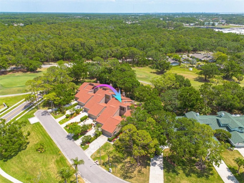 EXQUISITELY REMODELED two-story townhome in the heart of the - Beach Townhome/Townhouse for sale in Oldsmar, Florida on Beachhouse.com