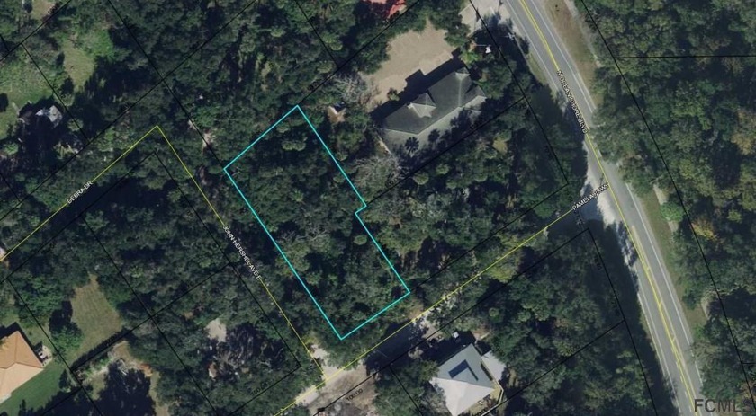 TWO LOTS.  Rare Residential/Commercial parcel in the Hammock - Beach Lot for sale in Palm Coast, Florida on Beachhouse.com