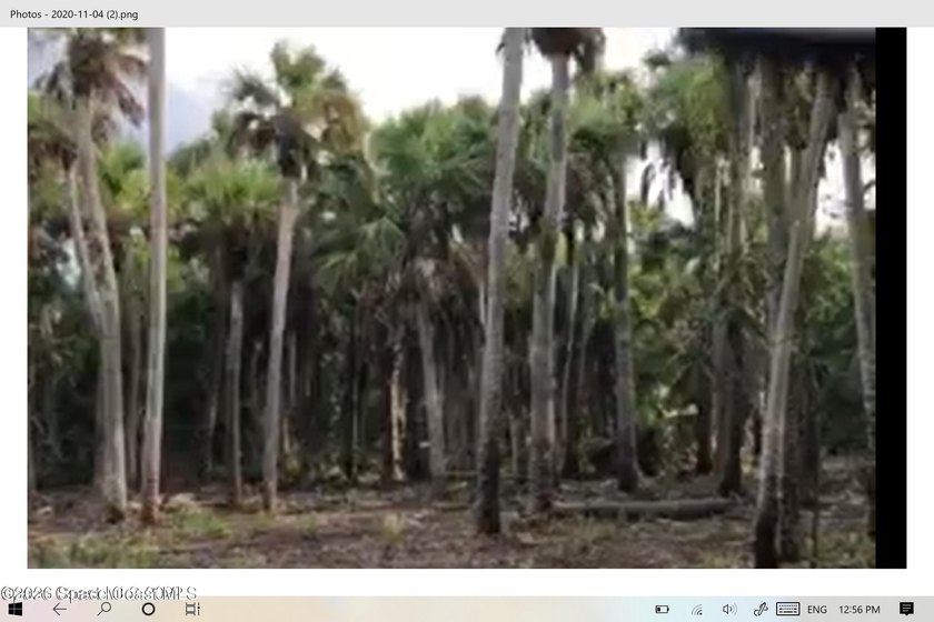 Beautiful wooded 44.39 acres in Merritt Island along the snake - Beach Acreage for sale in Merritt Island, Florida on Beachhouse.com
