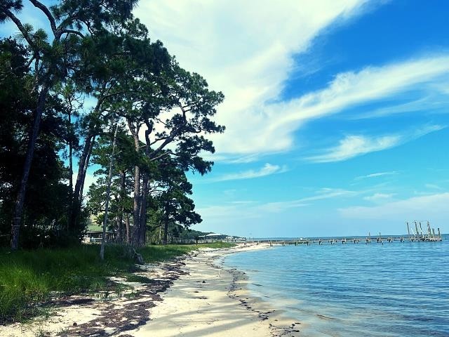 Beautiful gulf front lot in Carrabelle ready to build your dream - Beach Lot for sale in Carabelle, Florida on Beachhouse.com
