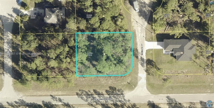 Beautiful oversize corner 12,864 sf lot. Premium Homesite very - Beach Lot for sale in Lehigh Acres, Florida on Beachhouse.com