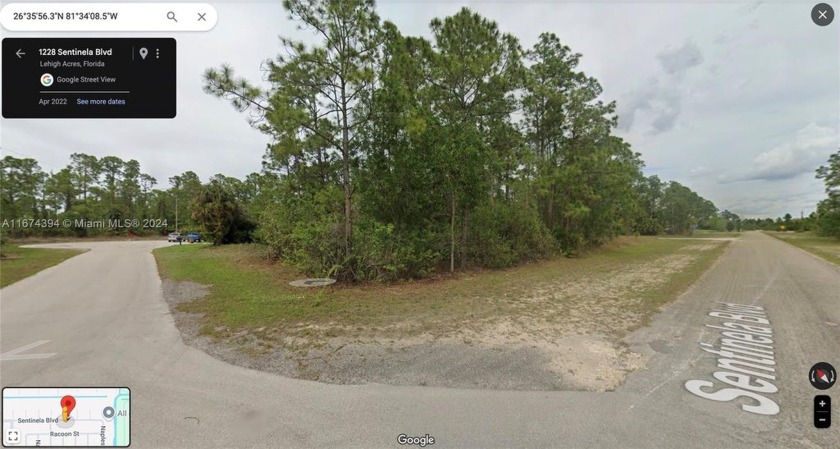 Beautiful oversize 12,863 sf corner lot.  Native Pine trees - Beach Lot for sale in Lehigh Acres, Florida on Beachhouse.com