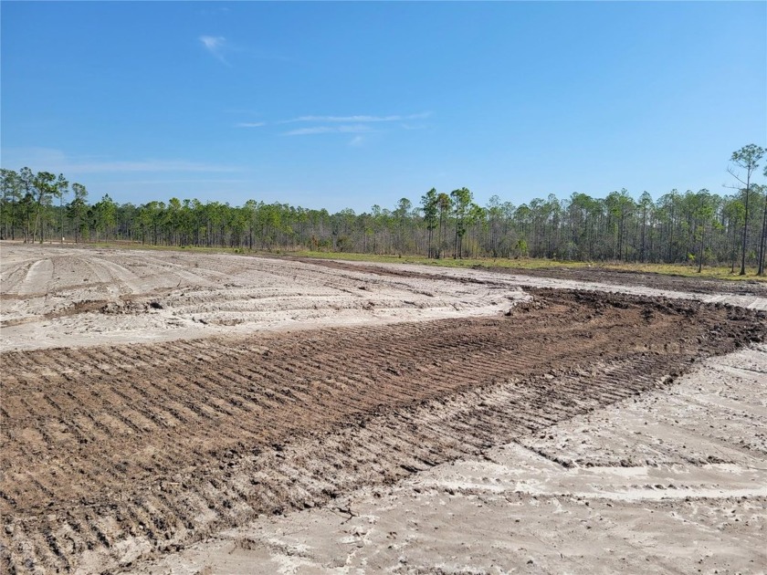 25.27 Acres of Mother Nature! If you a tranquil country life - Beach Acreage for sale in New Smyrna Beach, Florida on Beachhouse.com