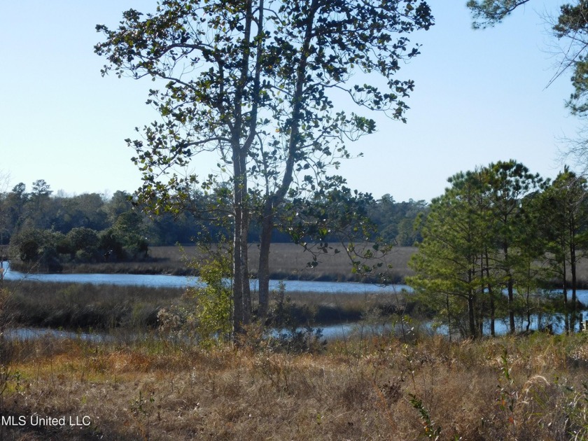 Are you ready to build your DREAM HOME? Take a look at this - Beach Lot for sale in Ocean Springs, Mississippi on Beachhouse.com