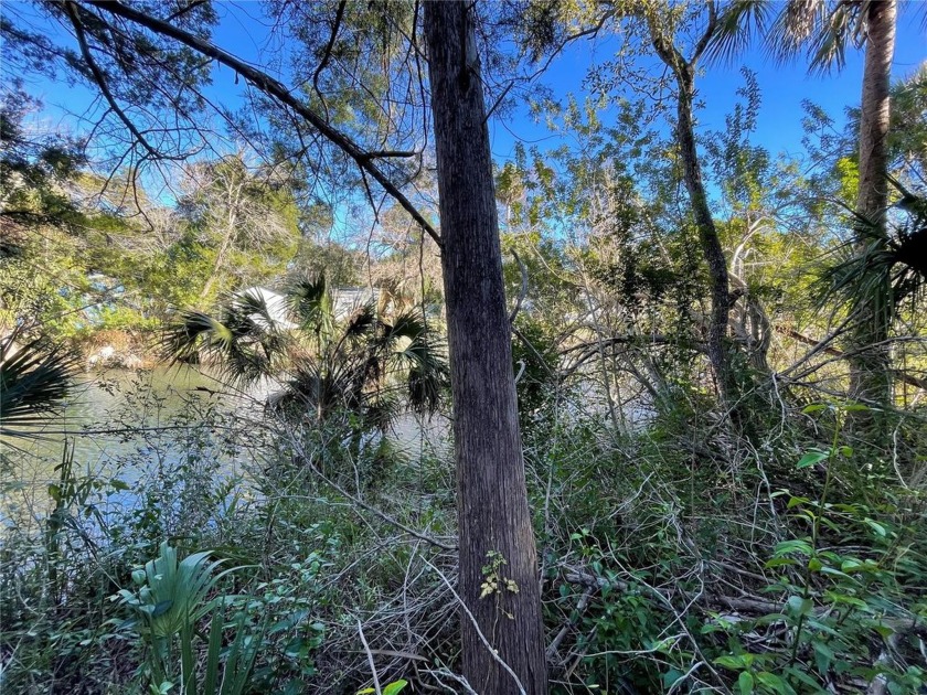 Nestled in the serene beauty of Weeki Wachee, this vacant - Beach Lot for sale in Weeki Wachee, Florida on Beachhouse.com