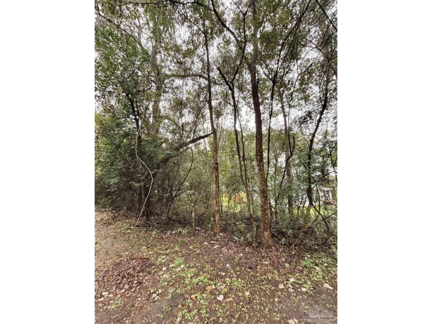 Rare opportunity to own a 0.099-acre lot on Limit St in Milton - Beach Lot for sale in Milton, Florida on Beachhouse.com