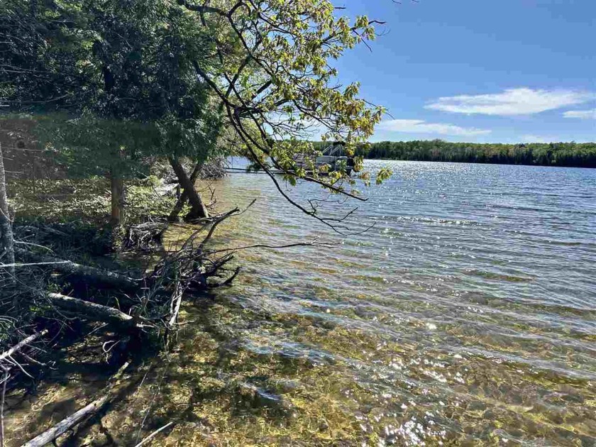 Beautiful sandy lakefront lots on the south side of Lake - Beach Lot for sale in Beaver Island, Michigan on Beachhouse.com