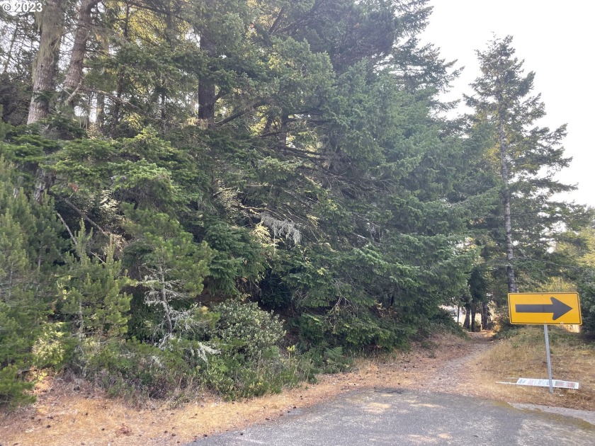 You do not want to miss out on this listing! 0.39 acre lot - Beach Lot for sale in Florence, Oregon on Beachhouse.com
