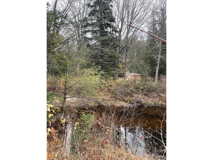 very nice .64 acre 150' square parcel on the chocolay river - Beach Lot for sale in Marquette, Michigan on Beachhouse.com