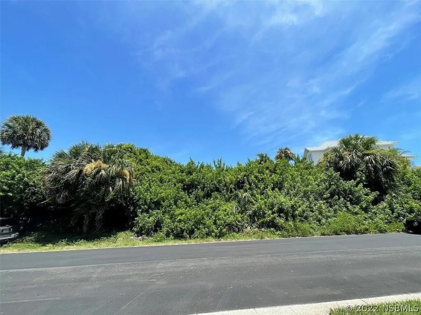 75' x 115' elevated lot located in the north beach area of New - Beach Lot for sale in New Smyrna Beach, Florida on Beachhouse.com