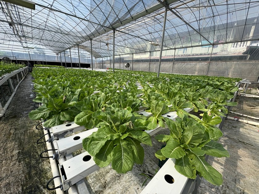 Step into the future of agriculture with this fully operational - Beach Commercial for sale in Panama City,  on Beachhouse.com