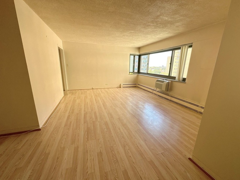 Discover this inviting 1 bedroom, 1 bathroom condo on the 9th - Beach Home for sale in Chicago, Illinois on Beachhouse.com