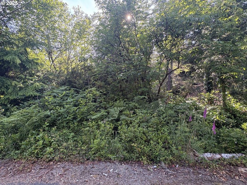 Your Quiet Forested Escape on the Long Beach Peninsula. These - Beach Lot for sale in Ocean Park, Washington on Beachhouse.com