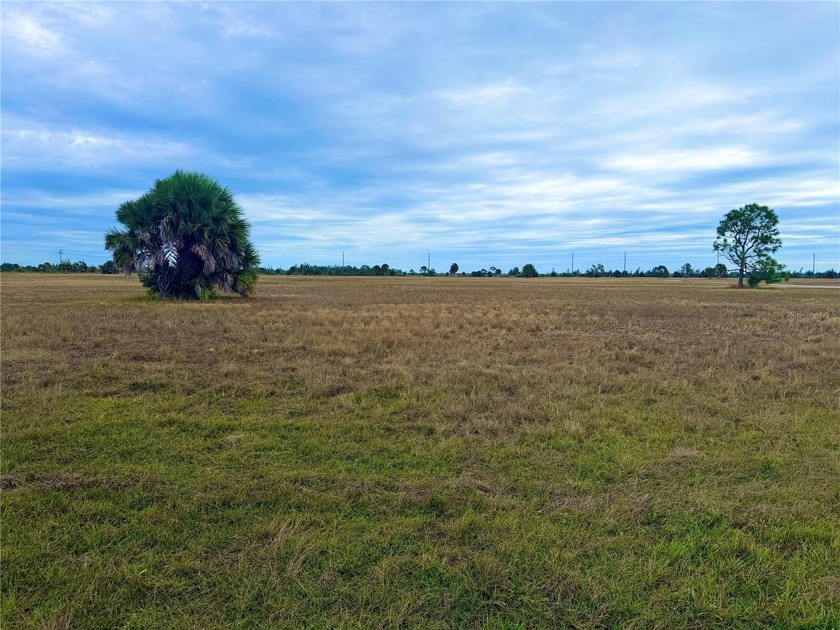 MOST AFFORDABLE LOT LISTED ON WREN DRIVE...Ready to build your - Beach Lot for sale in Placida, Florida on Beachhouse.com