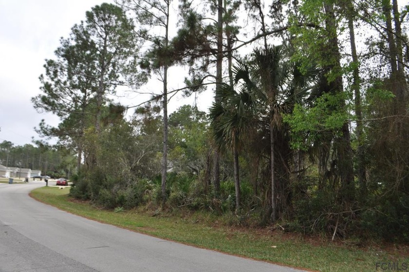 Over sized lot in a fast growing area. Wooded. Duplex zoned - Beach Lot for sale in Palm Coast, Florida on Beachhouse.com