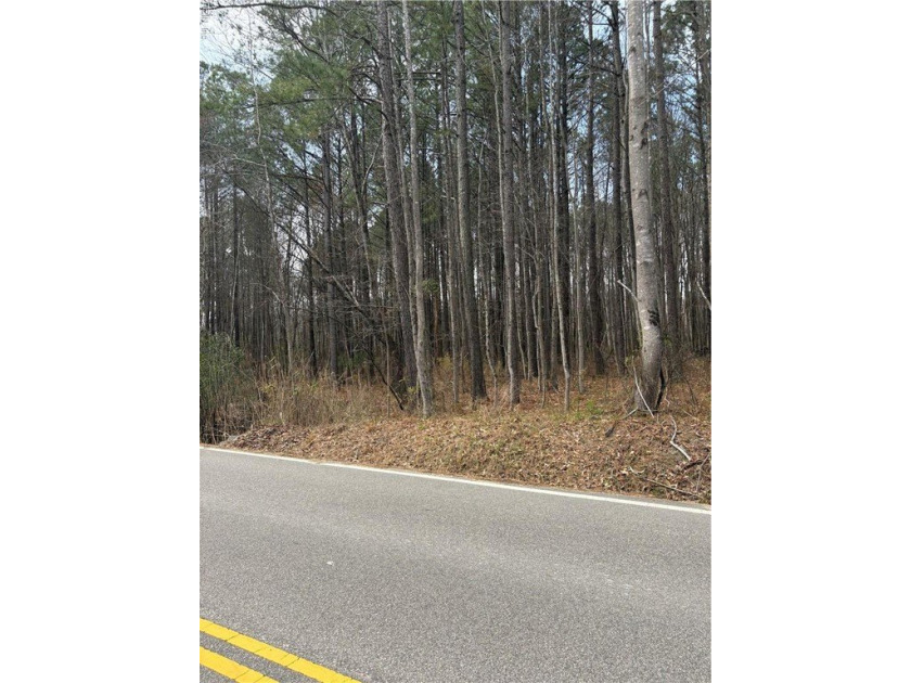 10 AC Millville Rd - Beach Acreage for sale in Chesapeake, Virginia on Beachhouse.com