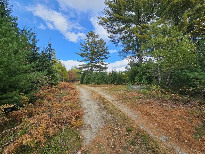 Owned by the same local family for nearly a century, this - Beach Commercial for sale in Franklin, Maine on Beachhouse.com