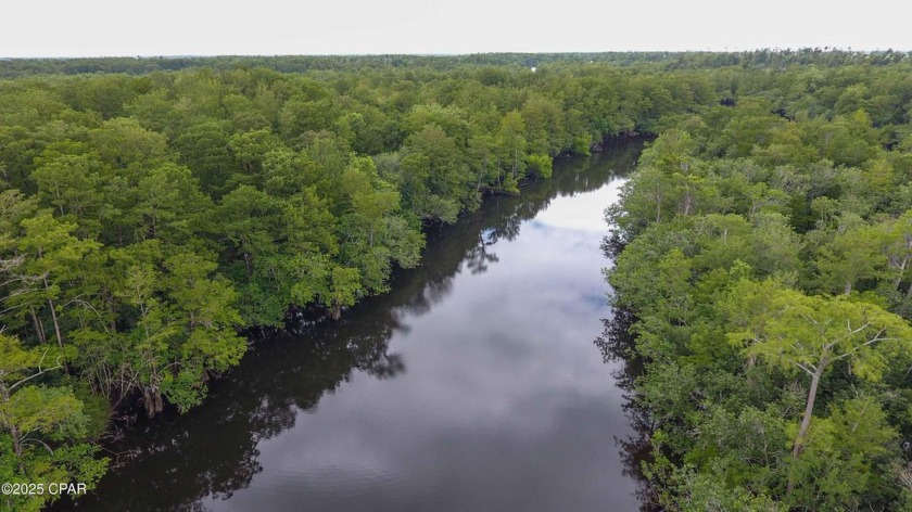 Outdoor Enthusiast, discover 8+ acres of pristine waterfront - Beach Acreage for sale in Wewahitchka, Florida on Beachhouse.com