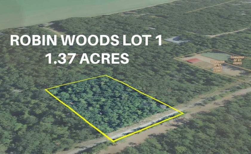 Fabulous piece of acreage close to town! Towering mixed trees - Beach Lot for sale in Beaver Island, Michigan on Beachhouse.com