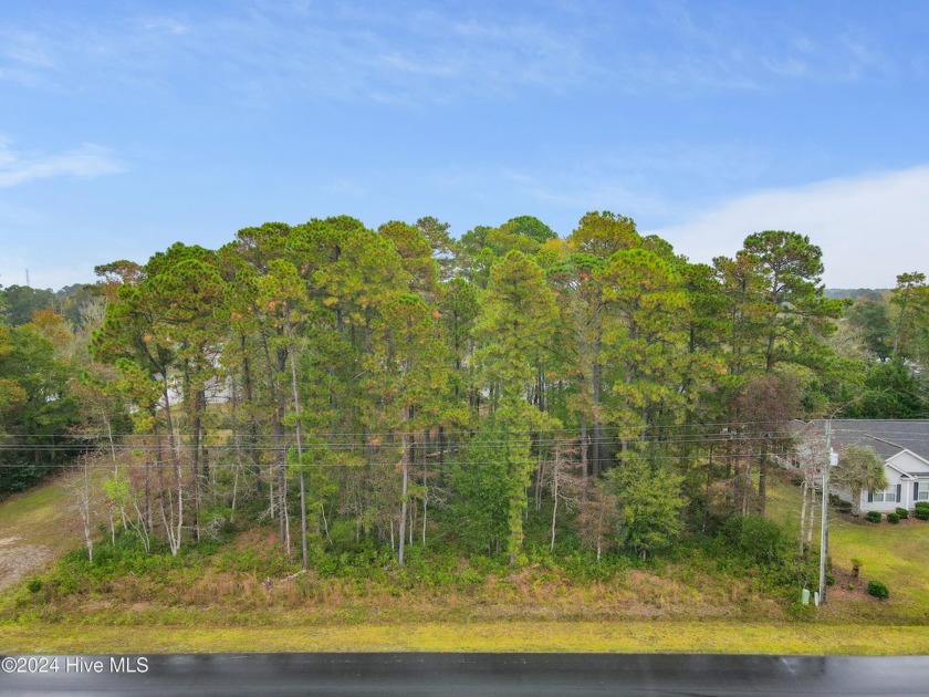 Beautiful approximately .68 acre property nestled in the acreage - Beach Lot for sale in Carolina Shores, North Carolina on Beachhouse.com