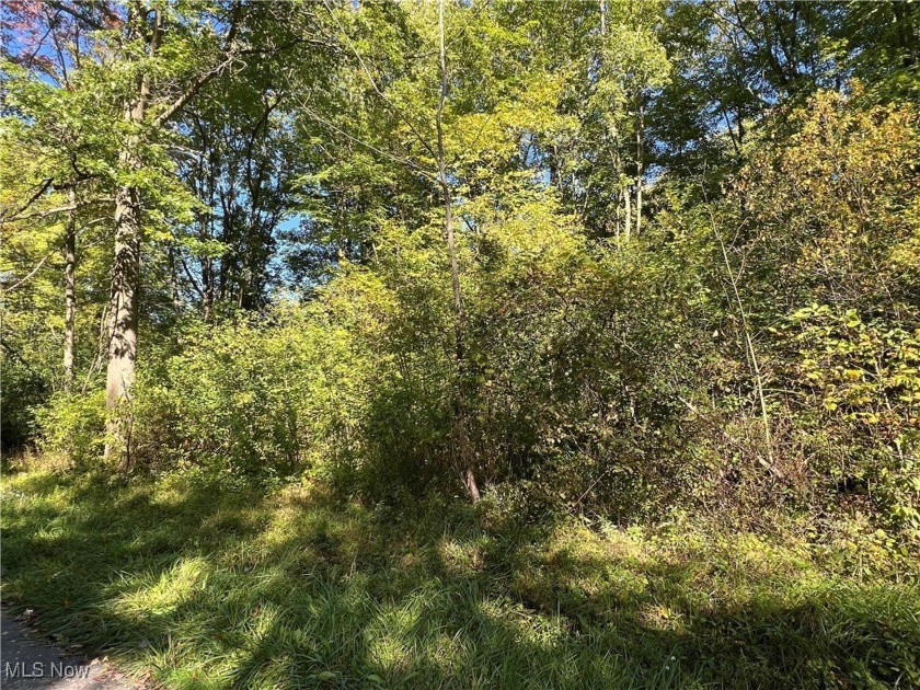 Nearly 1/2 acre lot with 240 ft. road frontage on paved road in - Beach Lot for sale in Ashtabula, Ohio on Beachhouse.com