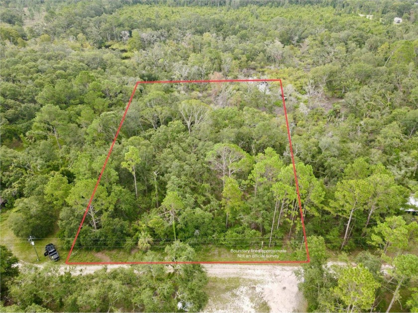 Welcome to your future home site! This property offers a blank - Beach Acreage for sale in Perry, Florida on Beachhouse.com