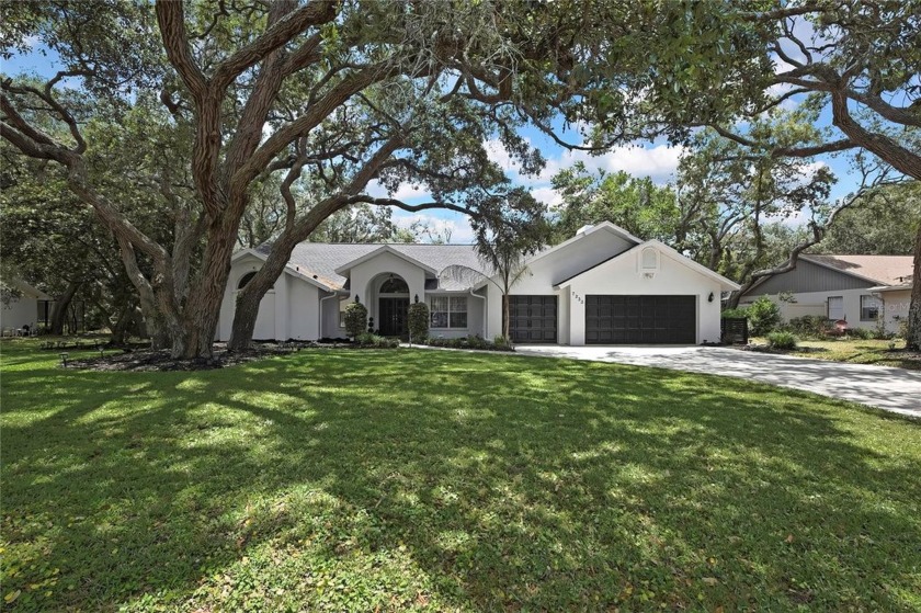 PRICE DROP!!!  Welcome to your serene oasis nestled within the - Beach Home for sale in Spring Hill, Florida on Beachhouse.com