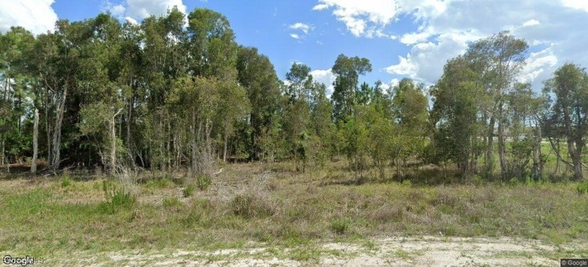 Come see this amazing commercial lot, its a great investment - Beach Commercial for sale in Lehigh Acres, Florida on Beachhouse.com