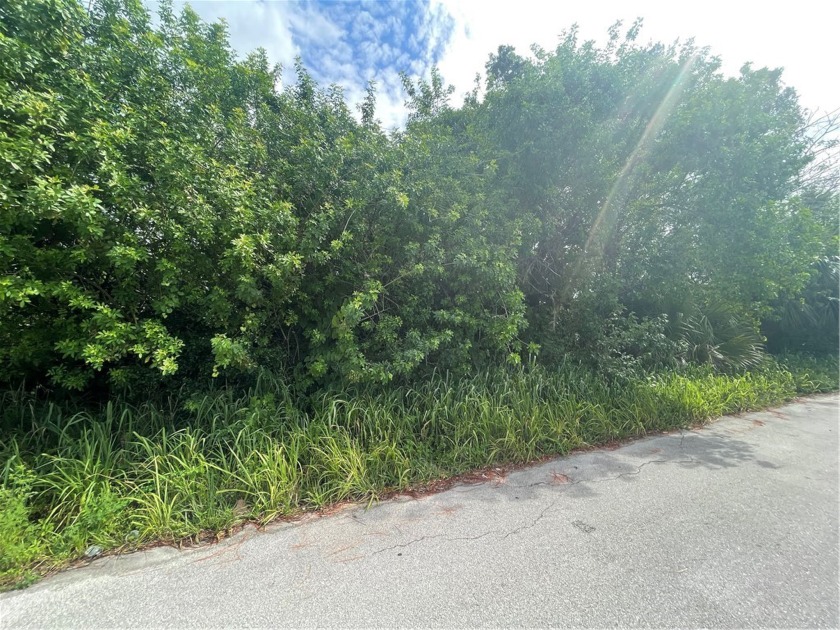 All Impact Fees Paid!!  2 lots!!  Includes parcel id - Beach Lot for sale in Vero Beach, Florida on Beachhouse.com