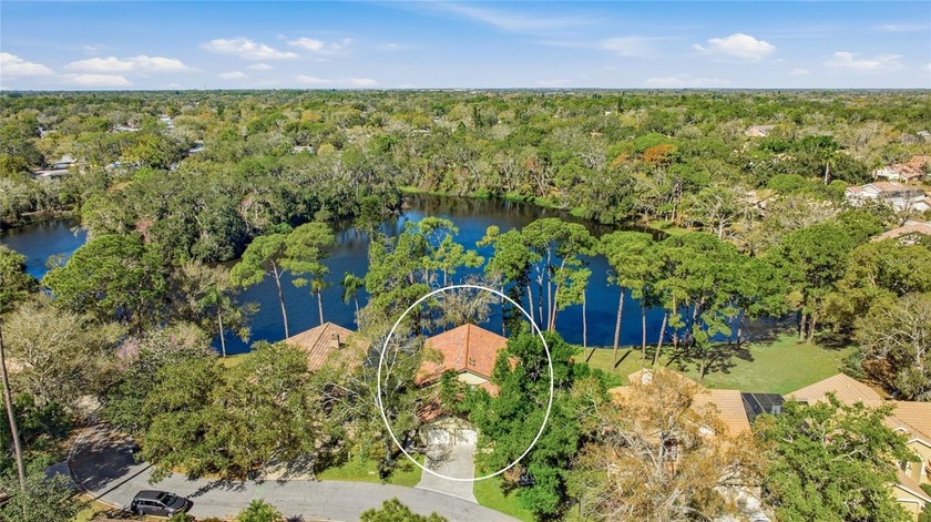 Awesome lake views! You will not find a better lake view out - Beach Home for sale in Sarasota, Florida on Beachhouse.com