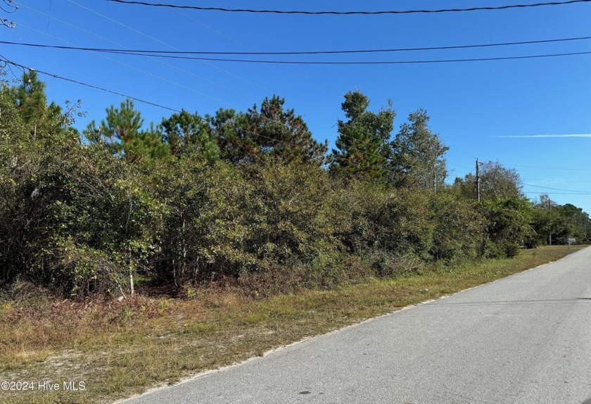 It's not often an almost 1/2 acre (.49) vacant lot becomes - Beach Lot for sale in Southport, North Carolina on Beachhouse.com