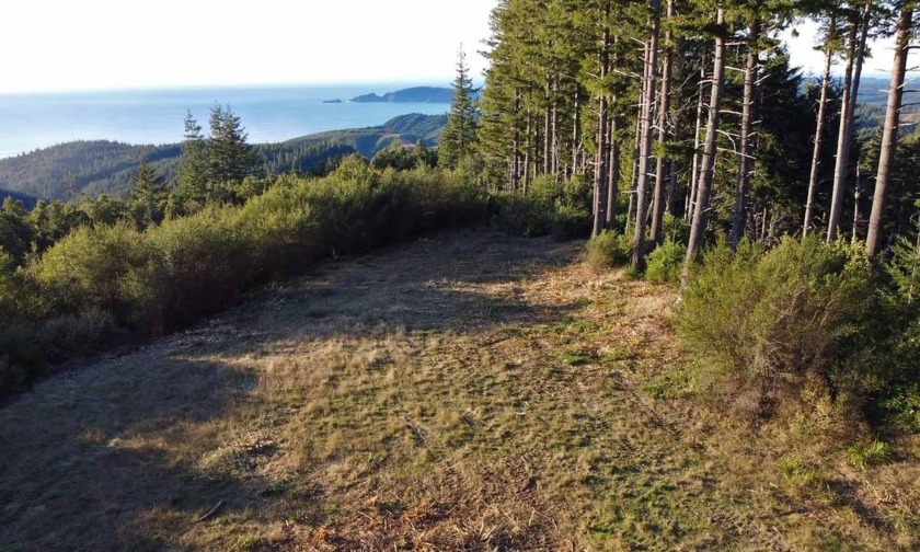 SPECTACULAR  OCEAN  VIEWS  FOR  YOUR  DREAM  HOME
Build your - Beach Acreage for sale in Port Orford, Oregon on Beachhouse.com