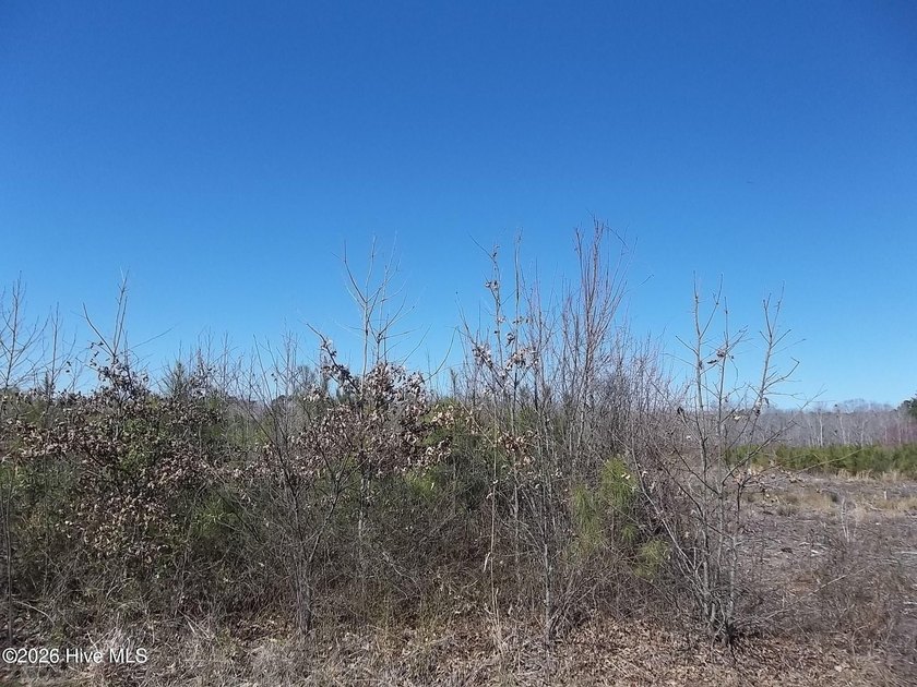 Build your home in the country within a 1/2 mile to the NC - Beach Lot for sale in New Hope, North Carolina on Beachhouse.com
