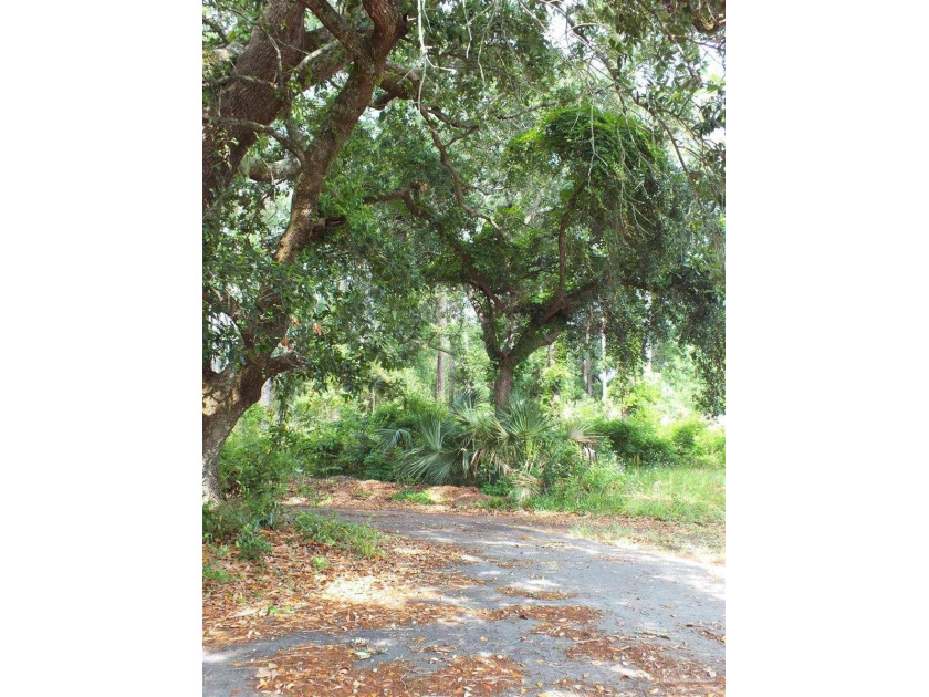 Build Your Dream Home on This Stunning Waterview Lot! Nestled in - Beach Lot for sale in Milton, Florida on Beachhouse.com