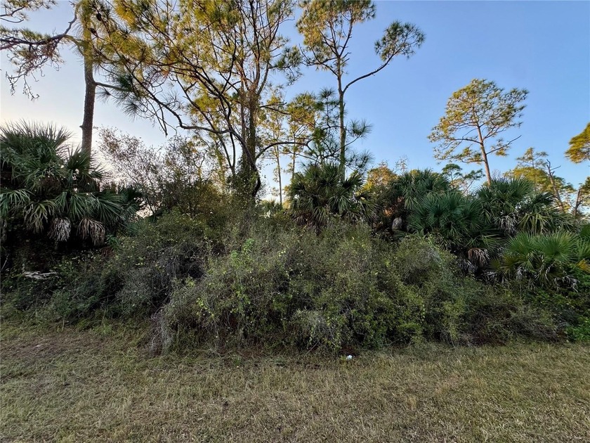 For Sale Vacant Land with a Greenbelt Lot in SWFL. Available for - Beach Lot for sale in North Port, Florida on Beachhouse.com