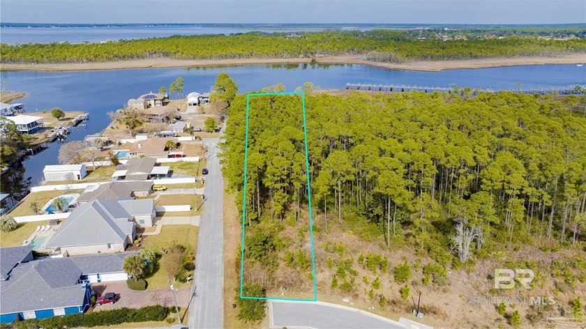 BUILD YOUR DREAM HOME ON THE VACANT BAYOU PRESERVE LOT #1 AT - Beach Lot for sale in Pensacola, Florida on Beachhouse.com
