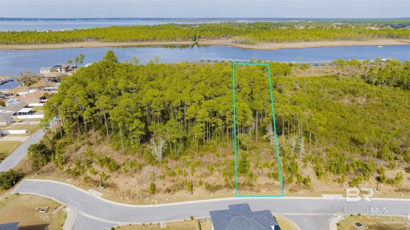 BUILD YOUR DREAM HOME ON THE VACANT BAYOU PRESERVE LOT #6 AT - Beach Lot for sale in Pensacola, Florida on Beachhouse.com