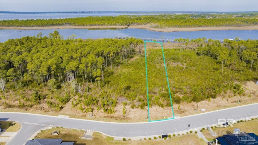 BUILD YOUR DREAM HOME ON THE VACANT BAYOU PRESERVE LOT #11 AT - Beach Lot for sale in Pensacola, Florida on Beachhouse.com
