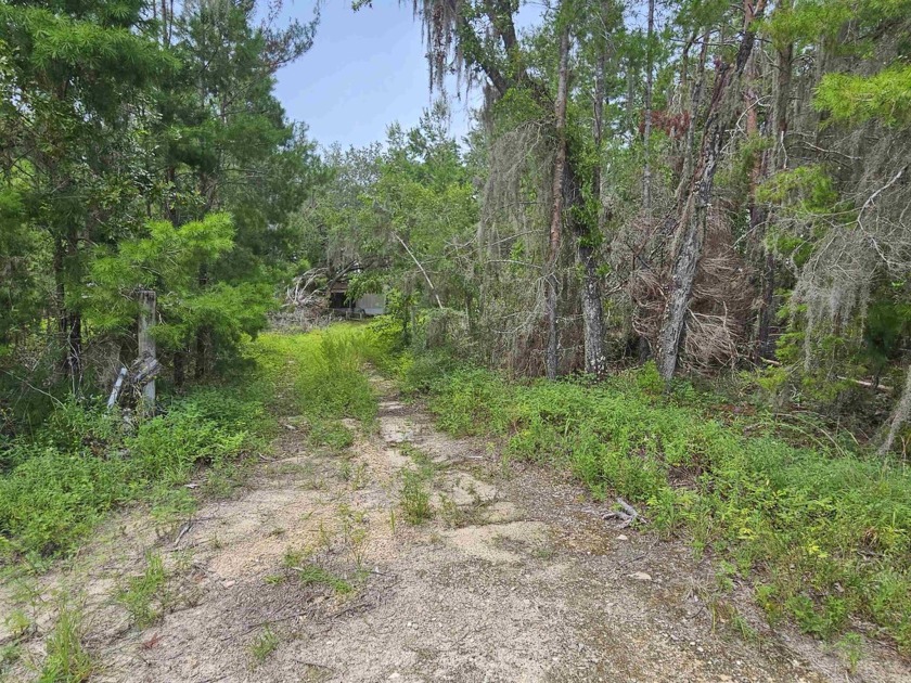 This one acre Lot is ready to be cleaned up and made into a - Beach Lot for sale in Perry, Florida on Beachhouse.com